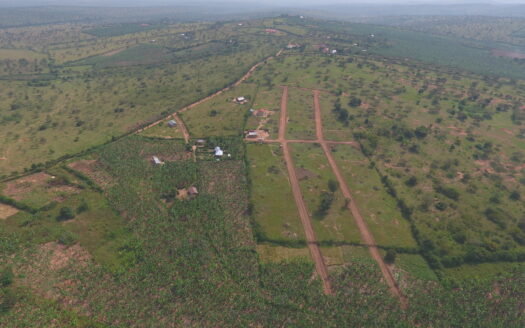 Karungi farm Land in Mbarara